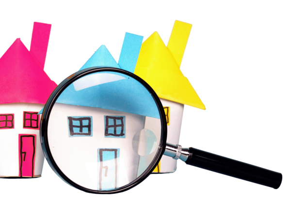 Link to tenancy issues and support page.