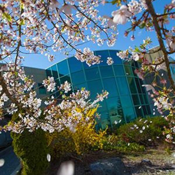 VIU Student Services Building 200 through flowering trees