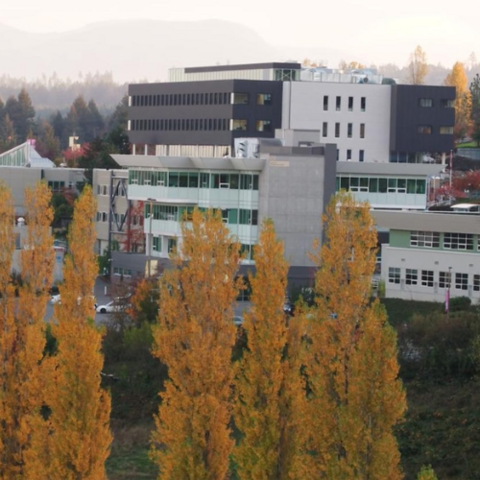 Fall at VIU Campus