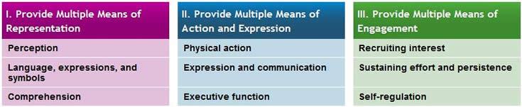 Universal Design for Learning Graphic